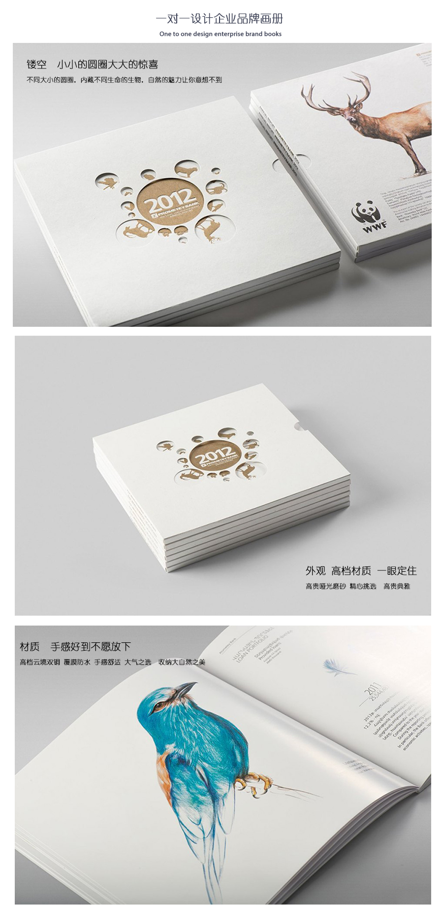 精美生物畫冊、精裝畫冊