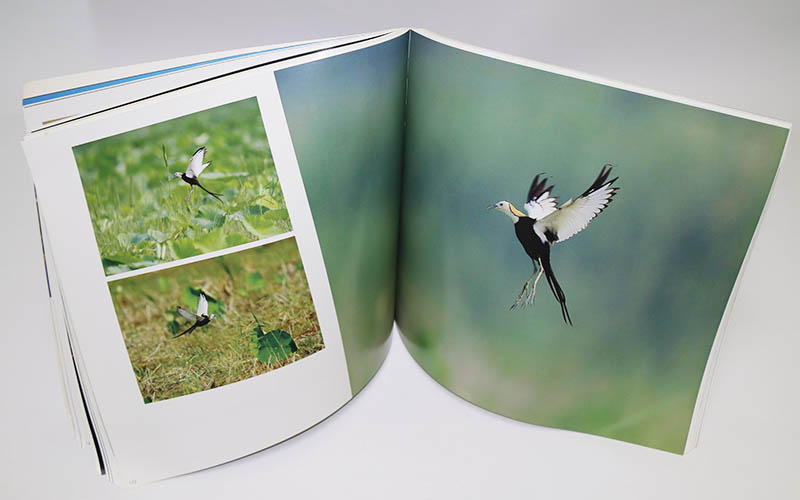 畫冊印刷,畫冊設計,宣傳畫冊印刷 畫冊印刷,畫冊設計,宣傳畫冊印刷