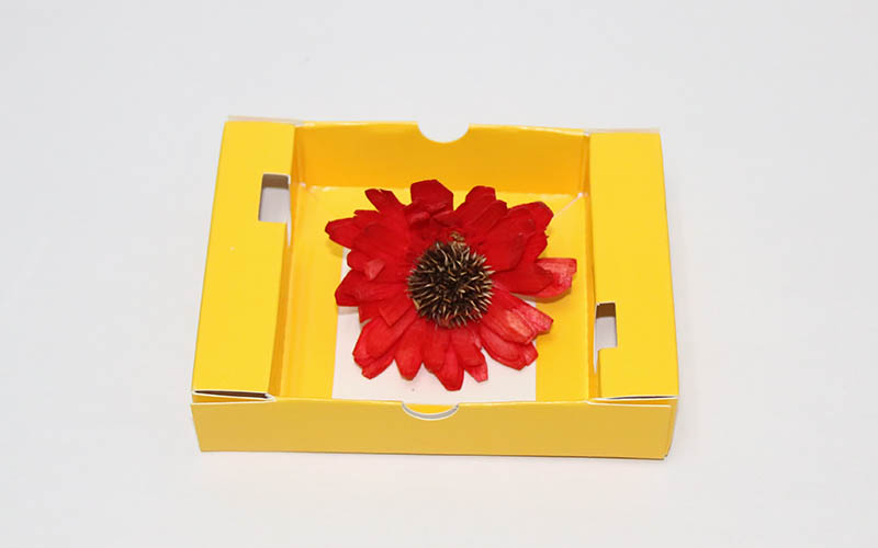 包裝盒印刷,包裝盒設計,包裝盒印刷廠家